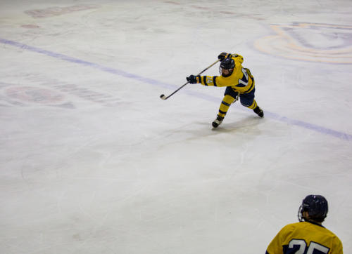ICE-13
