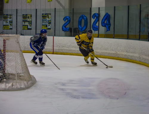 ICE-30