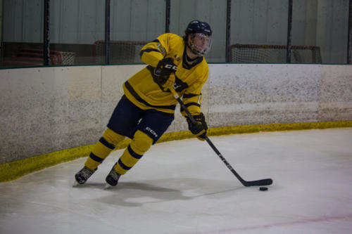 ICE-43