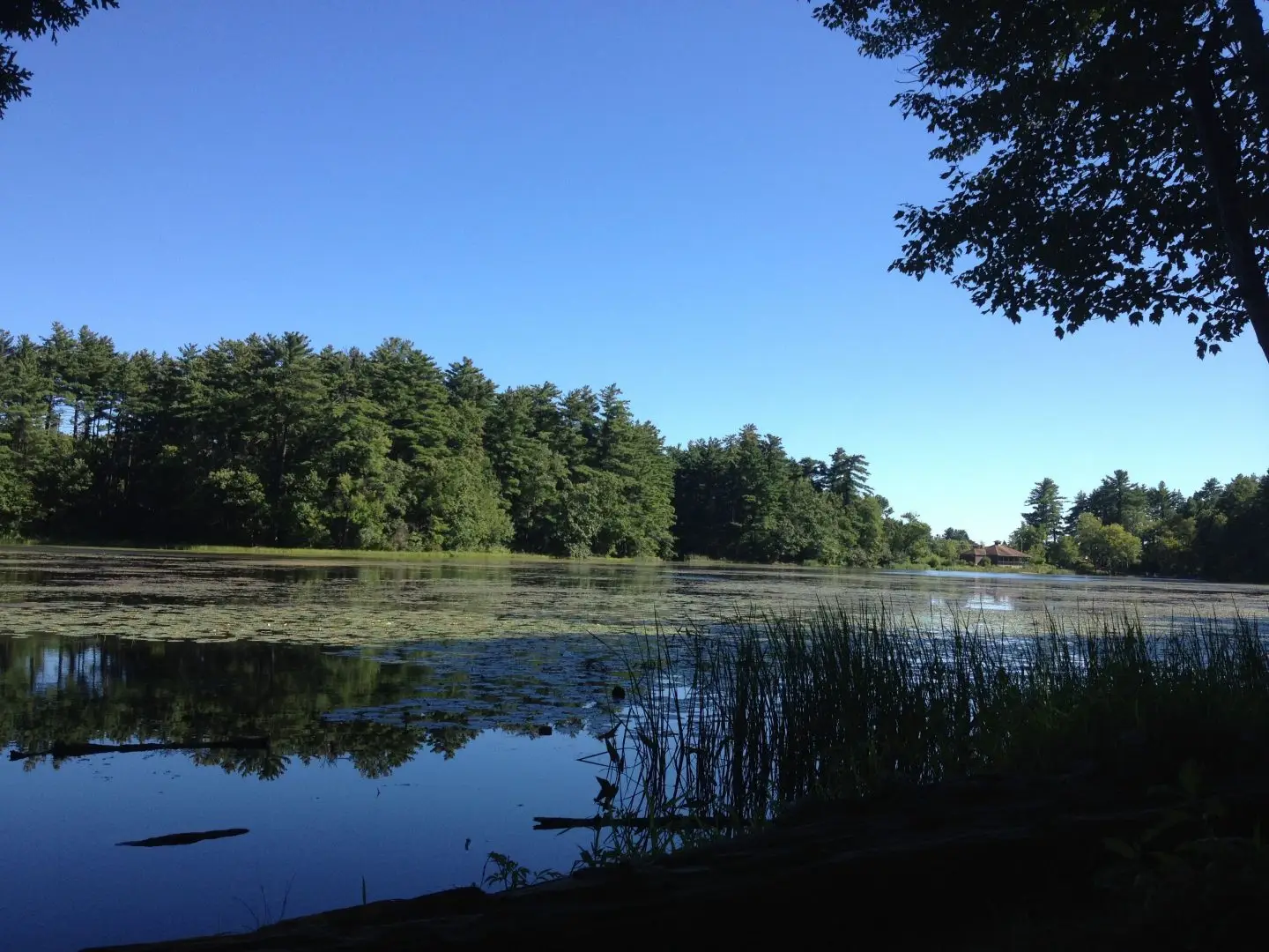 How to SNHU: Best Hang-Out Spots Near Campus