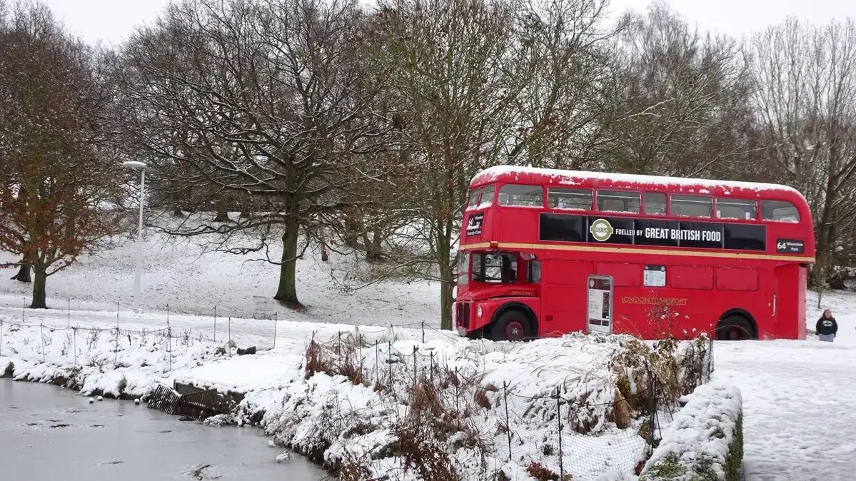 When Homesickness Turns Into a Homecoming