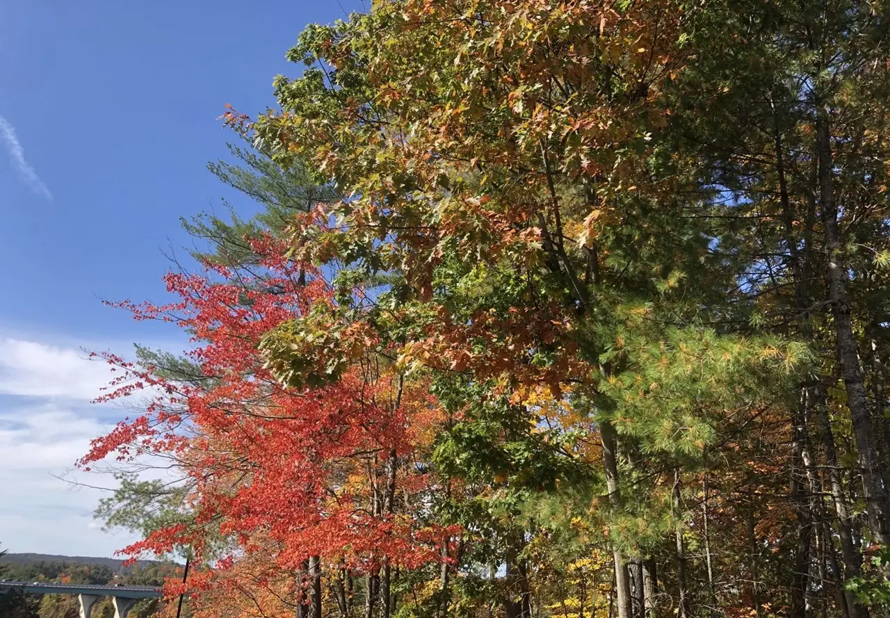 Sustainability Week is Coming to SNHU