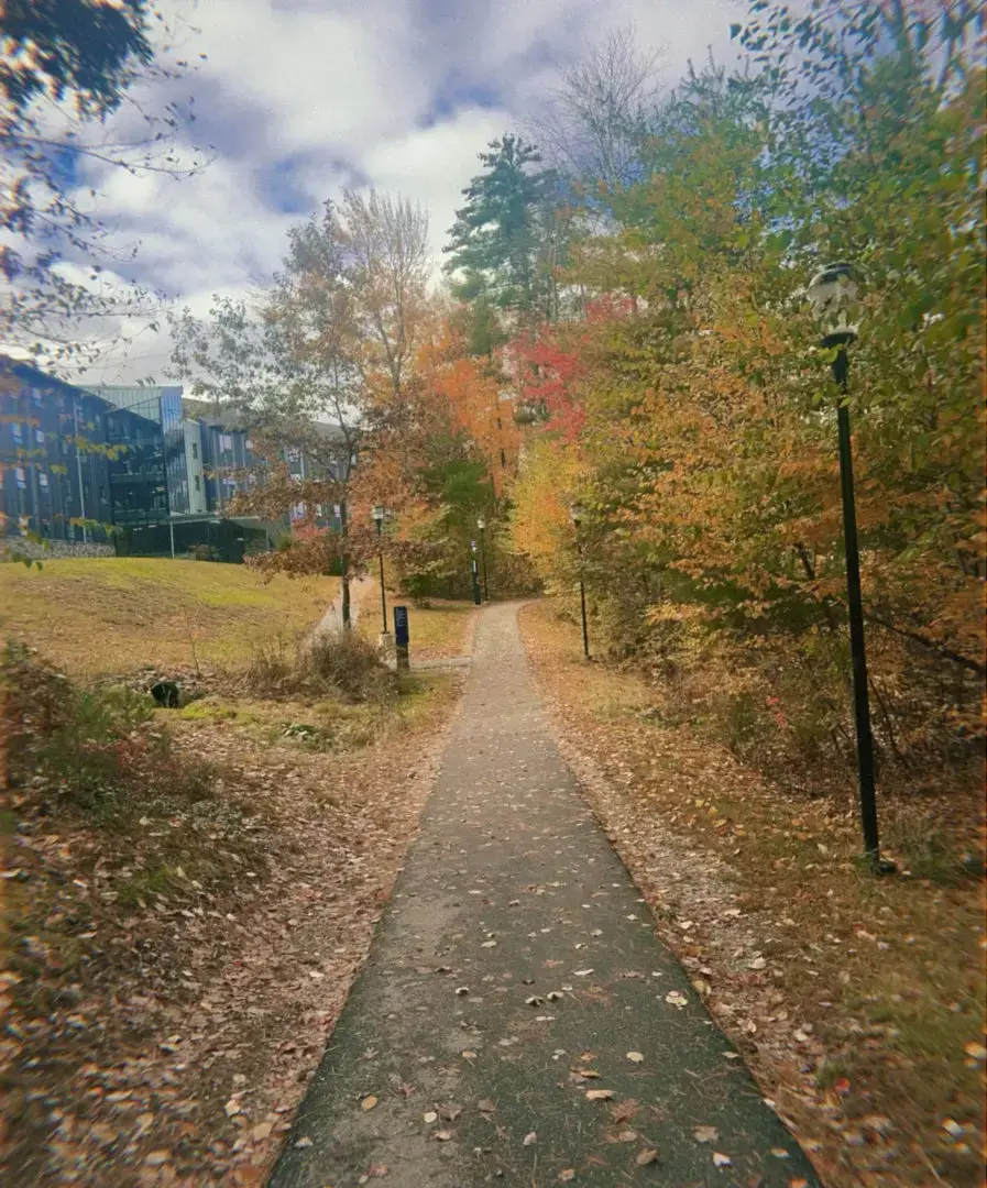 Best Halloween Movies to Watch According to the SNHU Community