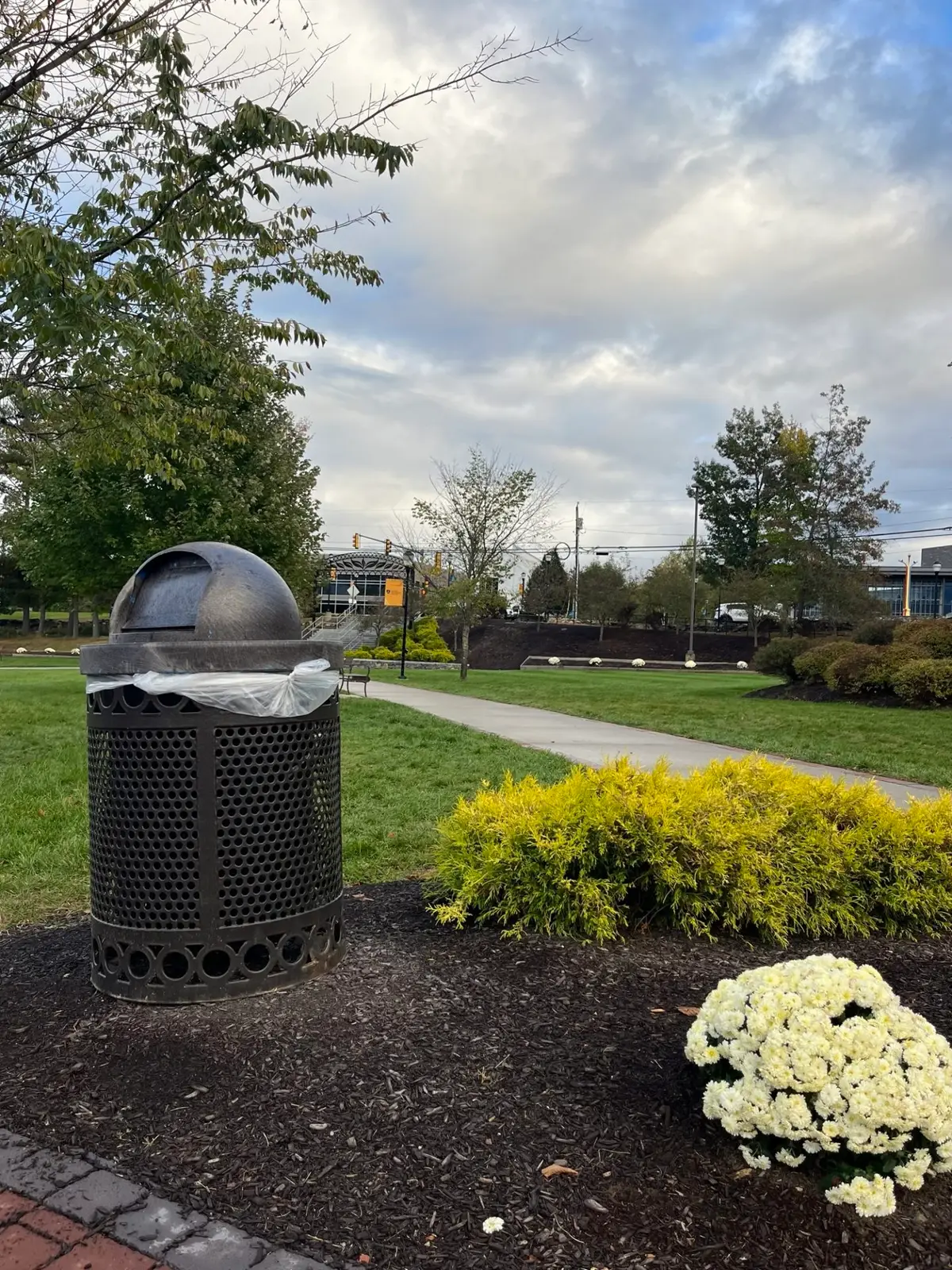 Trash Bins On Campus