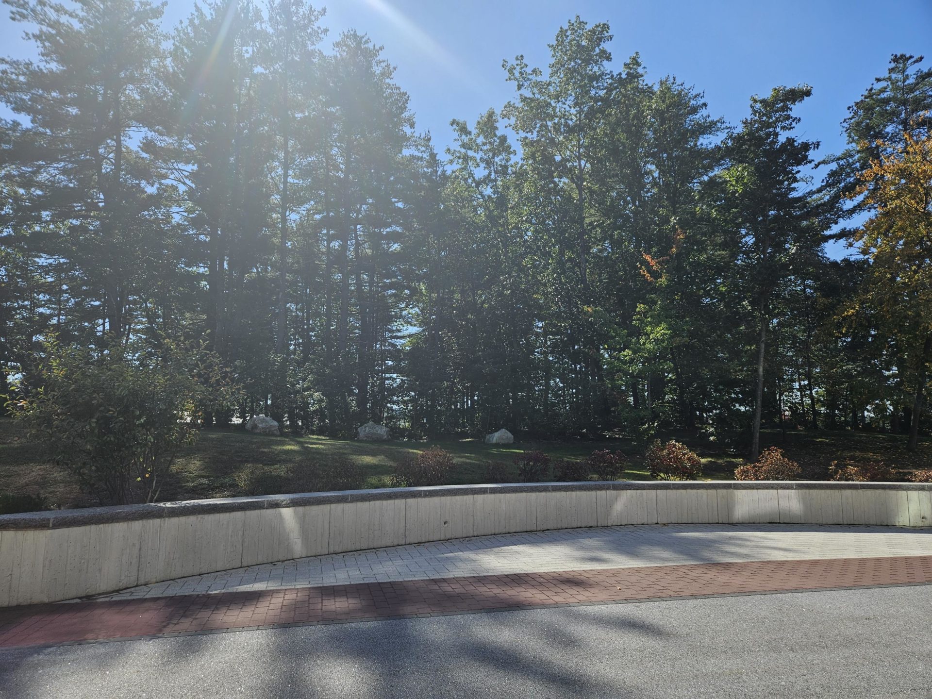 Fall Foliage Spots Around Campus