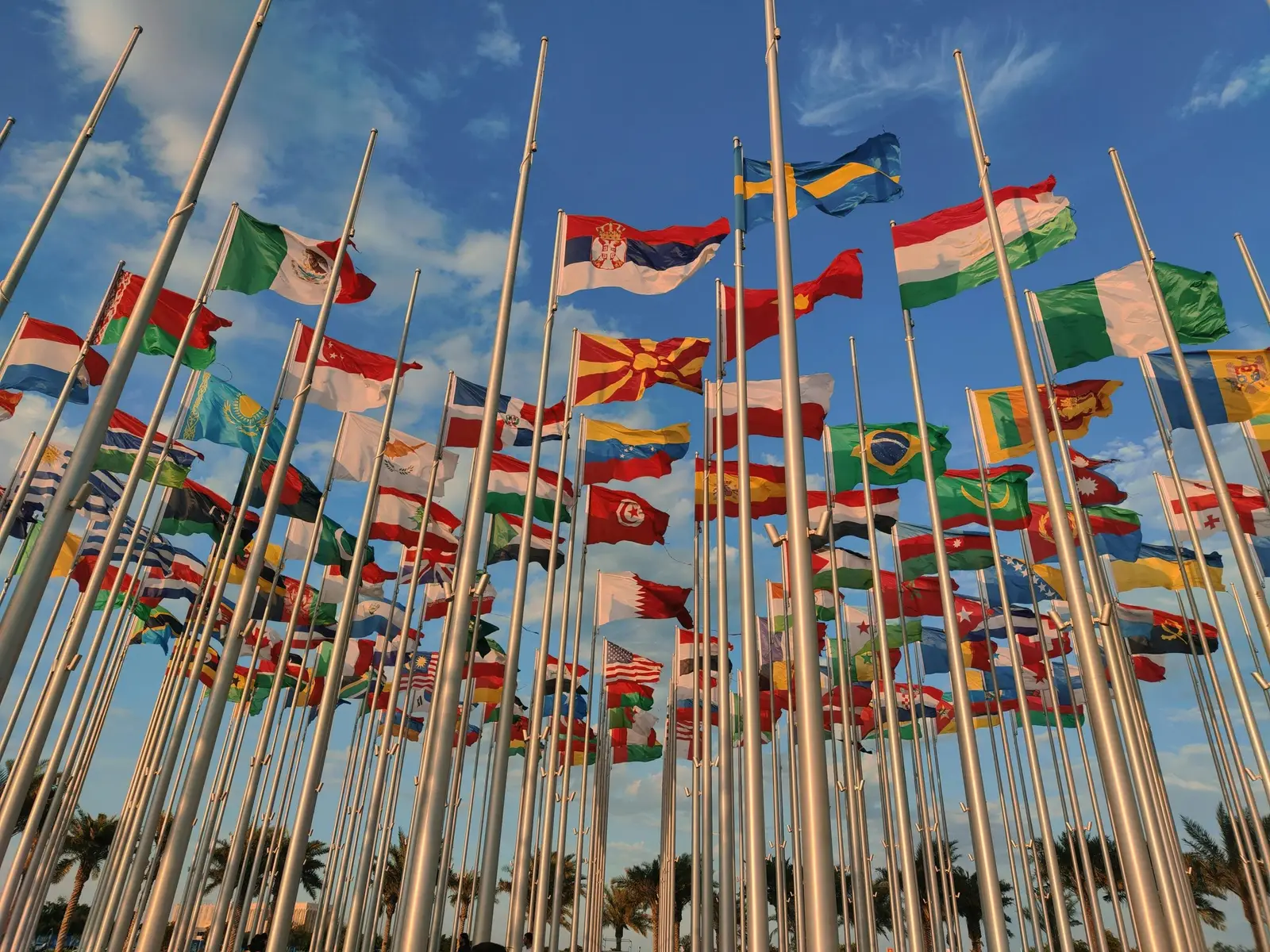 Standing Together: Supporting SNHU’s International Students Amid Visa Challenges