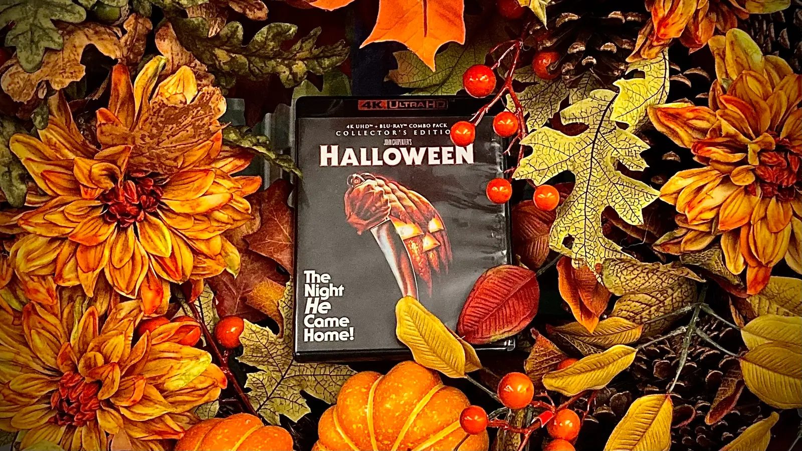 10 Horror Movies Every Student Should Watch